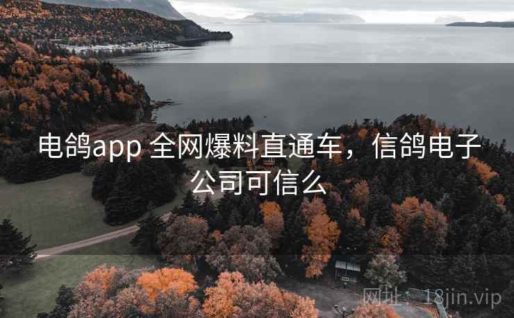 电鸽app 全网爆料直通车,信鸽电子公司可信么 电鸽app 全网爆料直通车,信鸽电子公司可信么