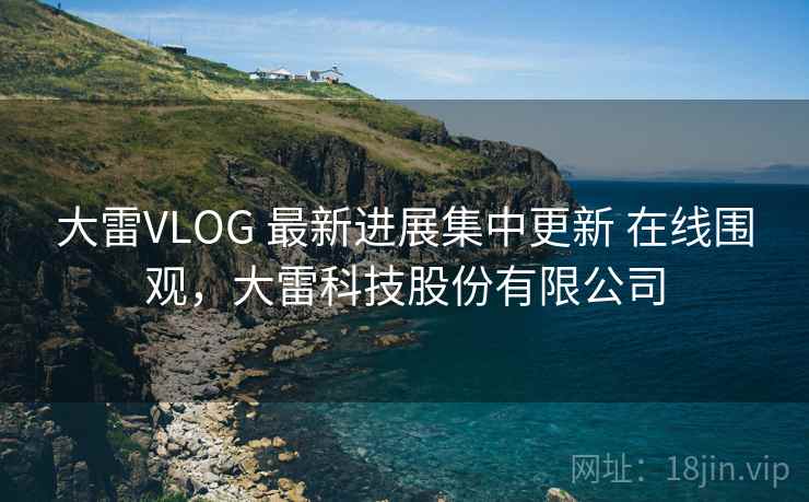 大雷VLOG 最新进展集中更新 在线围观，大雷科技股份有限公司