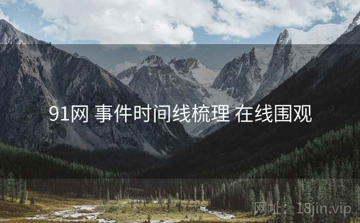 91网 事件时间线梳理 在线围观