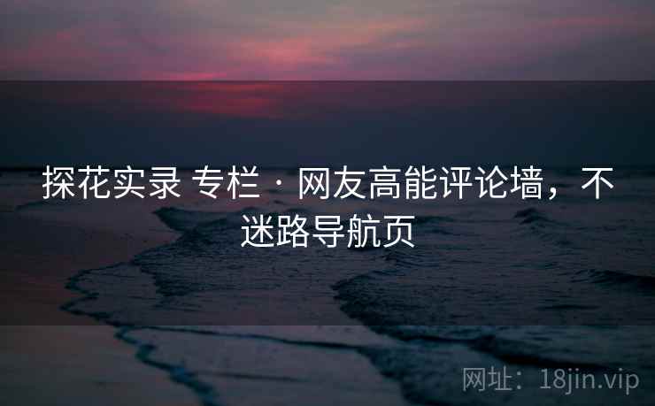 探花实录 专栏 · 网友高能评论墙，不迷路导航页