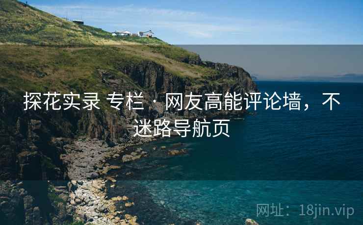 探花实录 专栏 · 网友高能评论墙，不迷路导航页